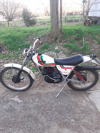 Ossa 350 mar trial