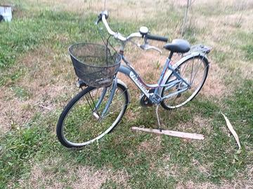 bici da donna 28