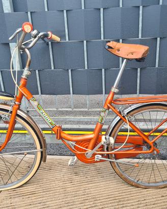 Bicicletta tipo Graziella.