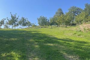 Terreno Agricolo - Montecalvo Versiggia - Pavia