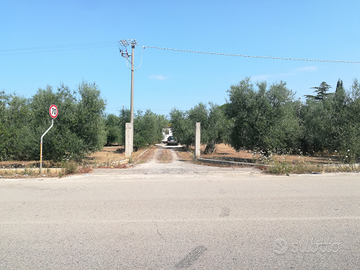 Terreno fronte strada sp 85 Bisceglie