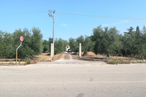 Terreno fronte strada sp 85 Bisceglie
