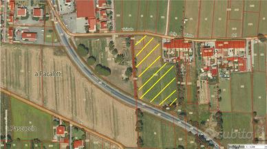 Terreno agricolo