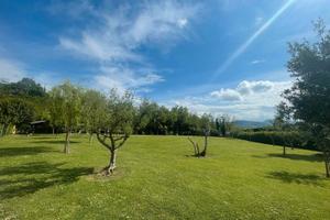 Terreno edificabile A/905