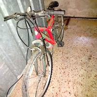 MTB Crazy Bike ammortizzata