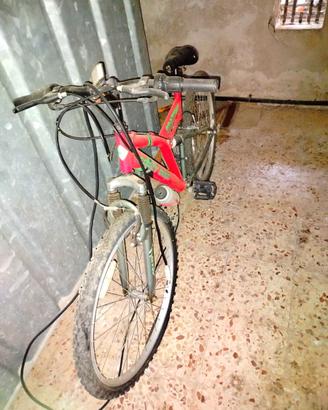 MTB Crazy Bike ammortizzata