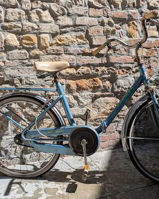 bicicletta pieghevole