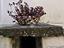 Immagine 18