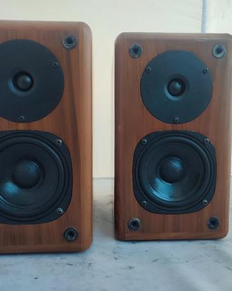 ESB CDX  L 1 gold