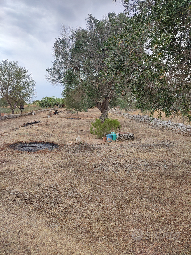 Terreno agricolo - Vista 2