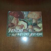 LIBRETTO " FUNGHI dei NOSTRI BOSCHI "