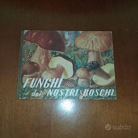 LIBRETTO " FUNGHI dei NOSTRI BOSCHI "