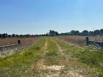 Terreno Agricolo Francavilla Fontana [LM2650.3VRG]
