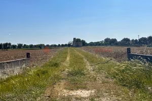 Terreno Agricolo Francavilla Fontana [LM2650.3VRG]