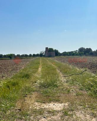 Terreno Agricolo Francavilla Fontana [LM2650.3VRG]
