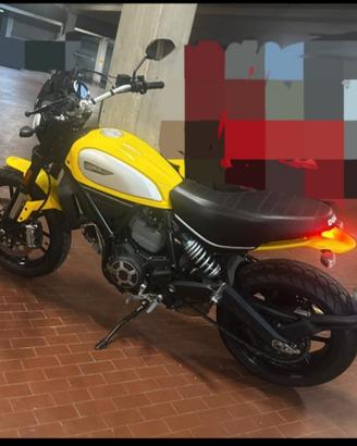 Ducati scrambler