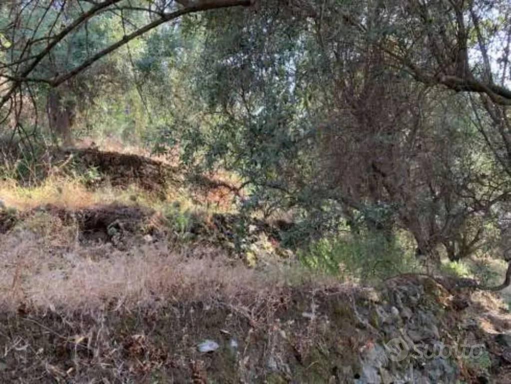 Immobile in asta di 920 m² a Roccalumera - Vista 3