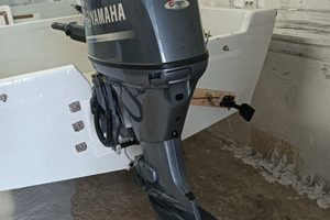 Yamaha 40-70 quattro tempi (2020)