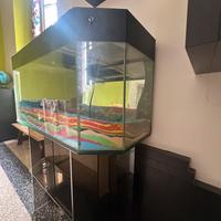 Grande acquario Vintage