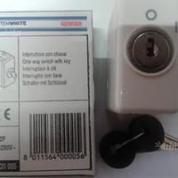 Interruttori con chiave GEWISS