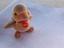 Immagine 1
