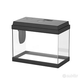 Acquario