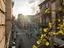 Immagine 23