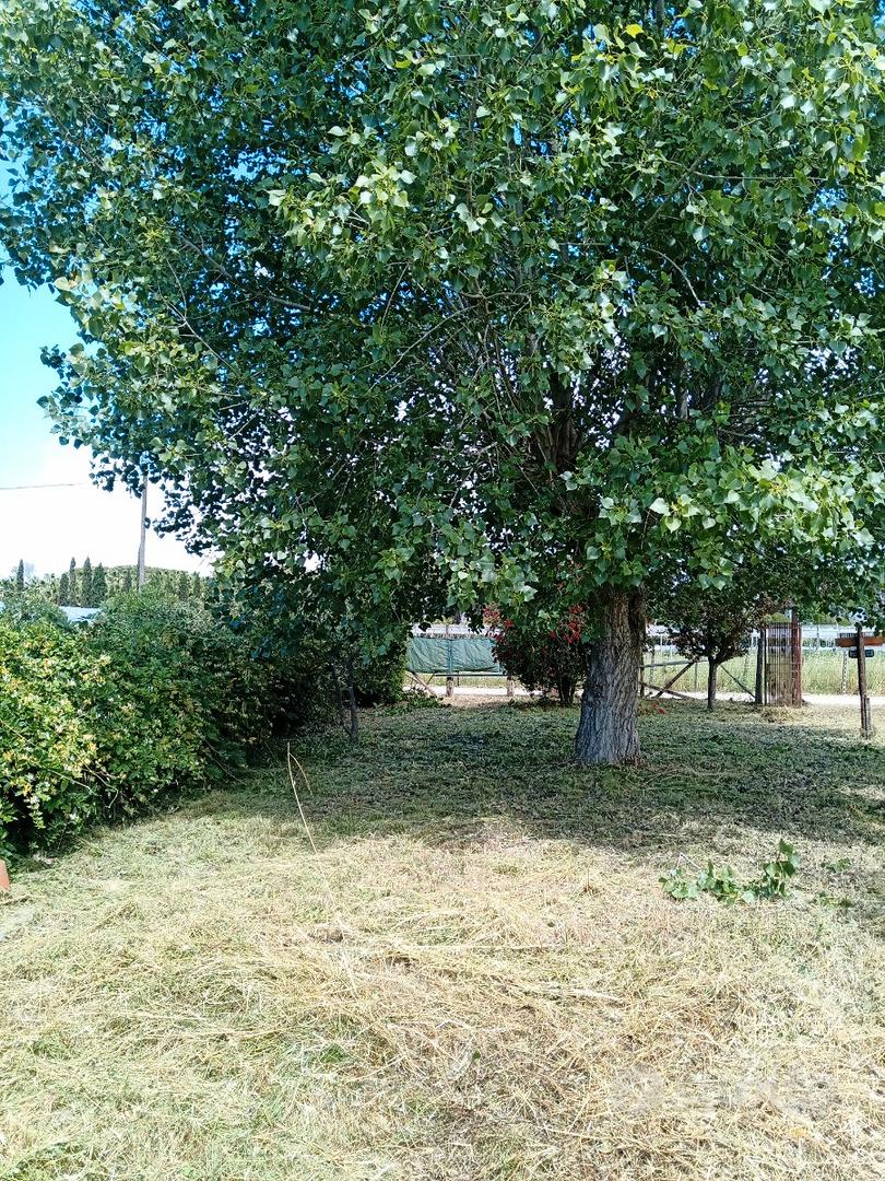 Rustico in legno - Vista 4