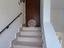 Immagine 15