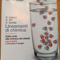 Lineamenti di chimica terza edizione 