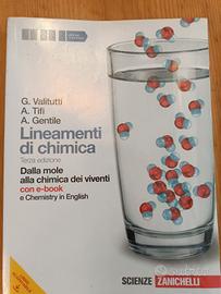 Lineamenti di chimica terza edizione 