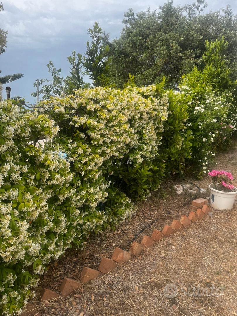 Casa con terreno - Vista 5