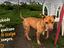 Immagine 5