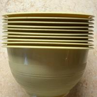 10 ciotole per alimenti