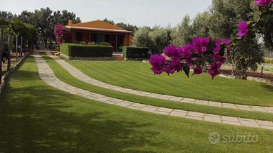 Isola di Sant'Antioco CIN IT111071C2000P7011