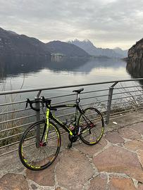 Wilier triestina izoard taglia L
