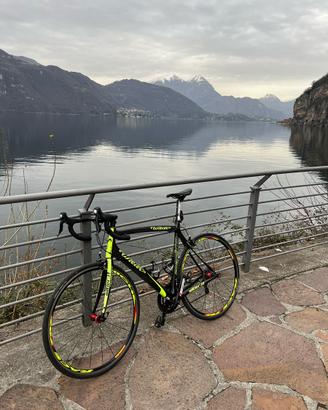 Wilier triestina izoard taglia L