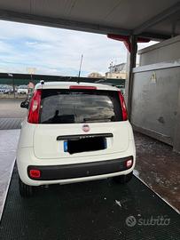 Panda  anno 2016 bianca