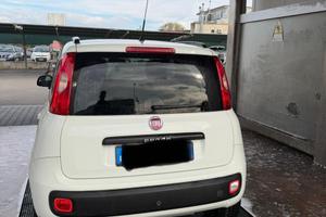 Panda  anno 2016 bianca