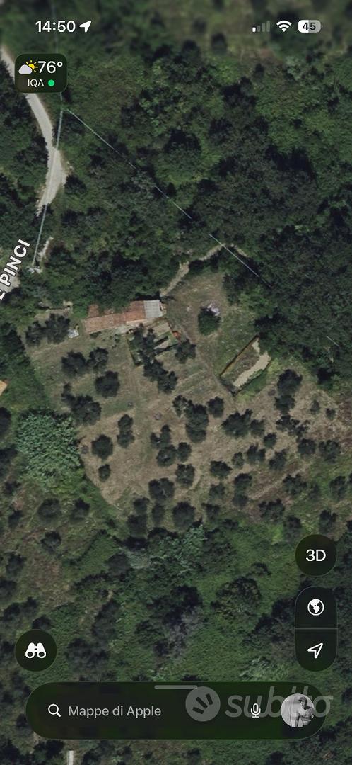Rustico con oliveto a San Quirico di Valleriana - Altro