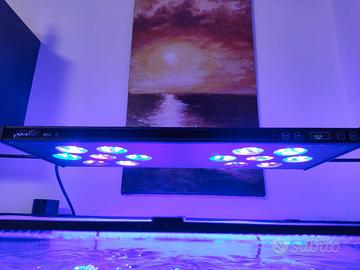 plafoniera Asaqua 168w per acquario marino 