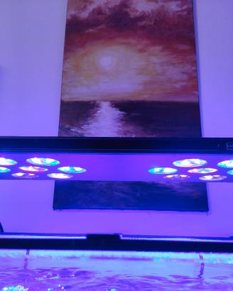 plafoniera Asaqua 168w per acquario marino 