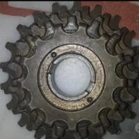 pignone  quintupla everest