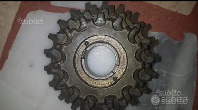 pignone  quintupla everest