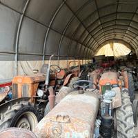 Trattore / trattori d’epoca