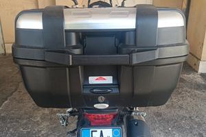 Motociclo Benelli TRK 502 X
