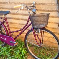 bicicletta Atala donna