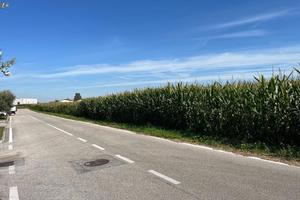 Terreno Agricolo Marostica [Cod. rif 3265625VRG]