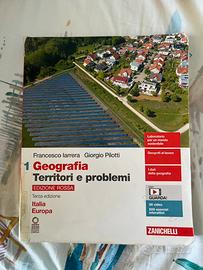Geografia territorio e problemi libro superiore