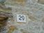 Immagine 11